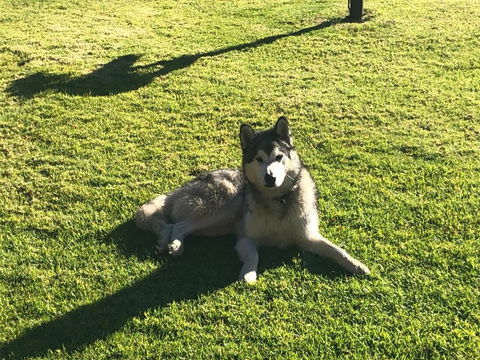 Mountain Culture Farm Stay - Pet Friendly - Kalgoorlie Accommodation 3