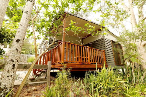 Mt Warning Rainforest Park - Kalgoorlie Accommodation 1