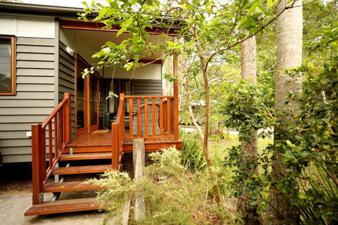 Mt Warning Rainforest Park - Kalgoorlie Accommodation 0