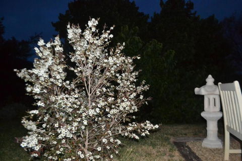 Mulberry Cottage Unique B&B Accommodation - Kalgoorlie Accommodation 3