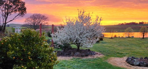 New Horizons Farm Stay - Kalgoorlie Accommodation 3