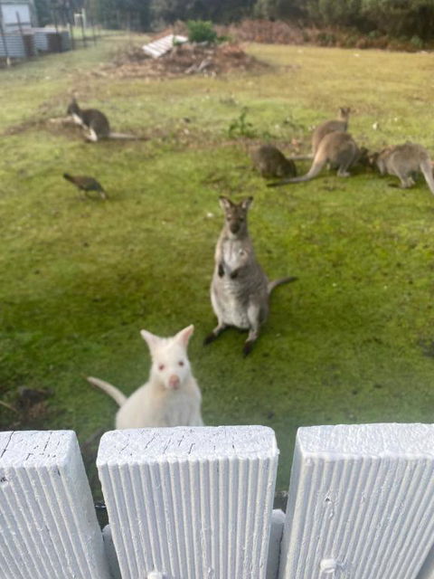 NOFOMO AT ADVENTURE BAY - Kalgoorlie Accommodation 2