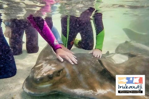 Peace In Paradise Near Nelson Bay- Waterviews, Spa, Adventures - Kalgoorlie Accommodation 2