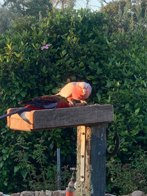 Pier 9 - Kalgoorlie Accommodation 3