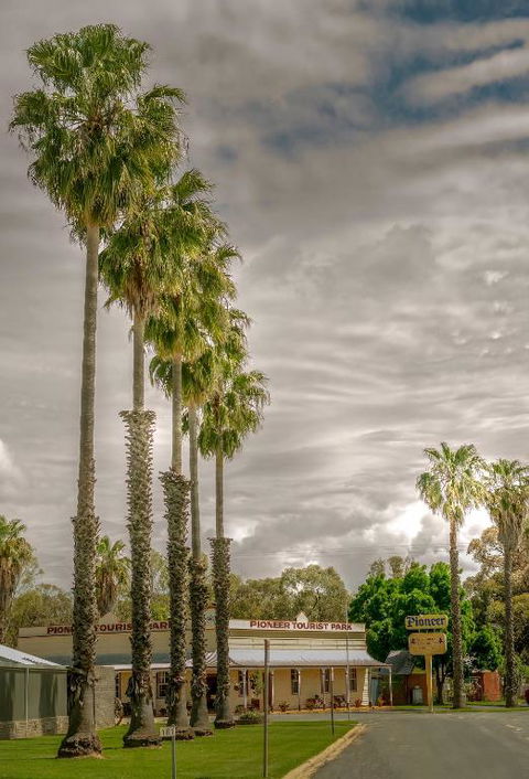 Pioneer Tourist Park - Kalgoorlie Accommodation 1