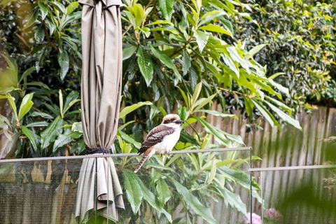 Quaint Queen Room - Central Location At Pymble - Shared Bathroom - Kalgoorlie Accommodation 1