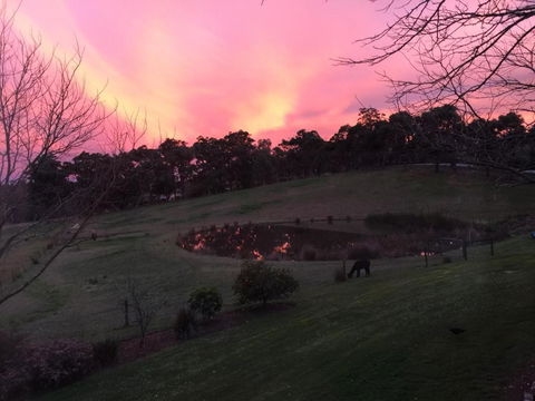 Raynella Alpaca Farmstay - Kalgoorlie Accommodation 3