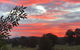 Raynella Alpaca Farmstay - thumb 2