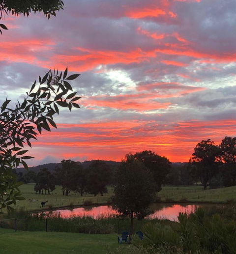 Raynella Alpaca Farmstay - Kalgoorlie Accommodation 2