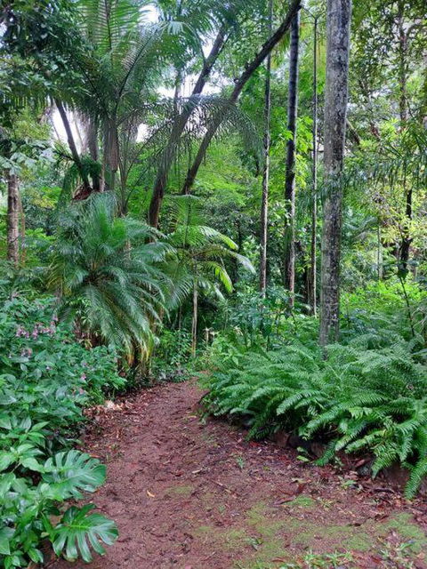 Rainforest Retreat-Fireplace-BBQ-3 Acres- - Kalgoorlie Accommodation 0