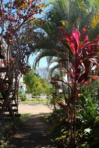 Asylum Cairns Hostel