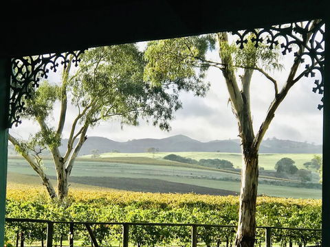 Azalea Cedar-Rose Barossa Valley Villa - Kalgoorlie Accommodation 1