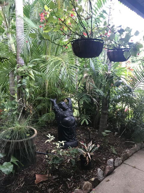 Bali Inspired Hideaway With Tropical Villa & Plunge Pool - Kalgoorlie Accommodation 3