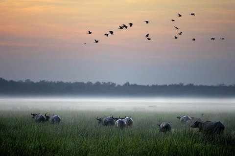Bamurru Plains - Kalgoorlie Accommodation 0