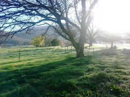 Book Mongans Bridge Accommodation Kalgoorlie Accommodation Kalgoorlie Accommodation