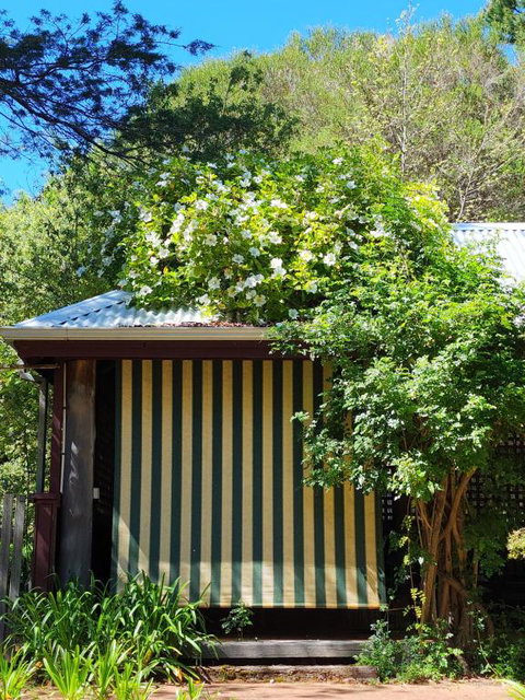 Redgum Hill Country Retreat - Kalgoorlie Accommodation 3