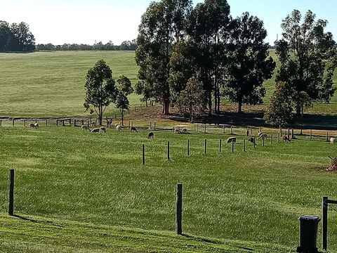 Redtail Ridge Cottages - Kalgoorlie Accommodation 1