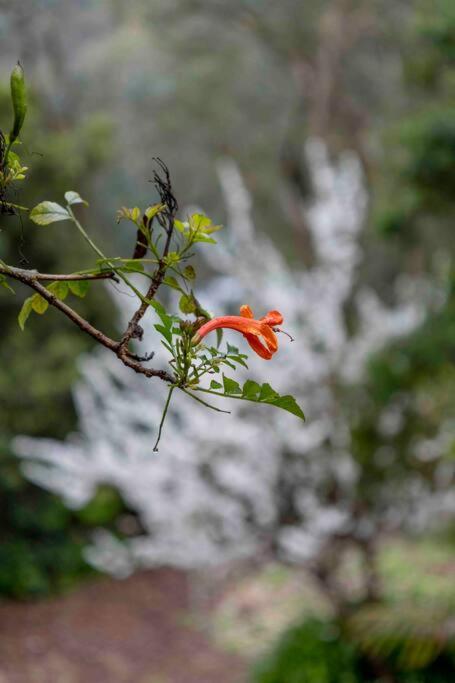 Resort-style 5 Bdrm Home W Pool, Spa & Billiards! - Kalgoorlie Accommodation 3