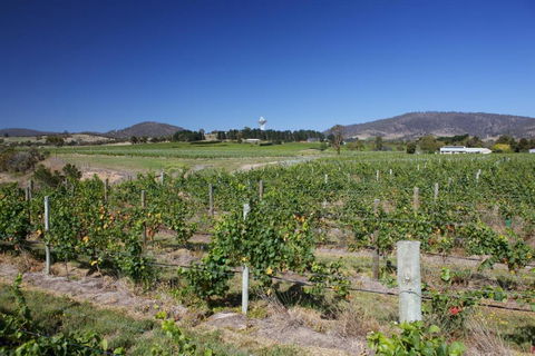 Riversdale Estate Cottages - Kalgoorlie Accommodation 1