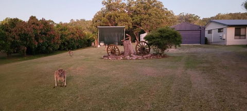 Roo Or 2 On Streeter - Kalgoorlie Accommodation 2