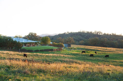 Rosby Guesthouse And Studio - Kalgoorlie Accommodation 0