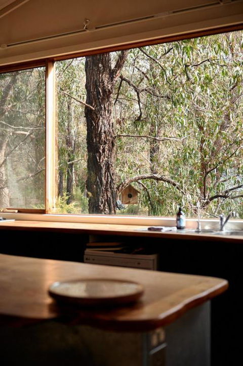 Rustic Treehouse - Aireys Inlet - Kalgoorlie Accommodation 1