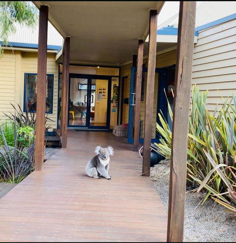 Sandpiper Motel Apollo Bay - Kalgoorlie Accommodation 3