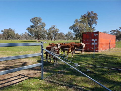 Big Tiny Jindera Park - Kalgoorlie Accommodation 2