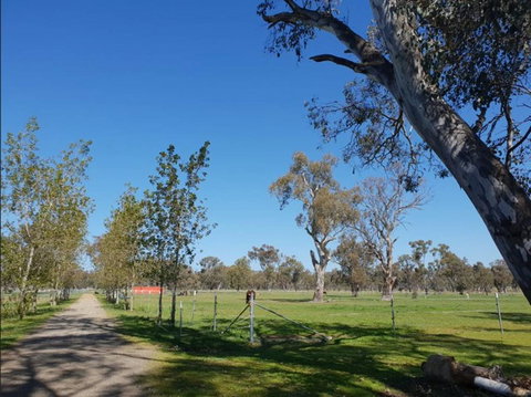 Big Tiny Jindera Park - Kalgoorlie Accommodation 3