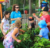 BIG4 Koala Shores Holiday Park - Kalgoorlie Accommodation