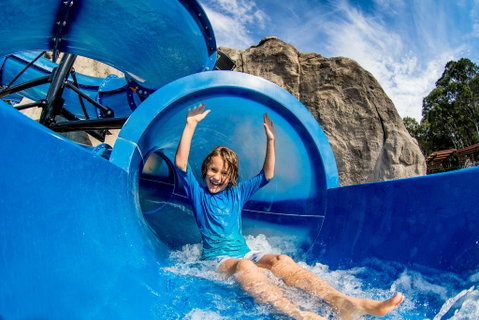 BIG4 Tweed Billabong Holiday Park - Kalgoorlie Accommodation 3