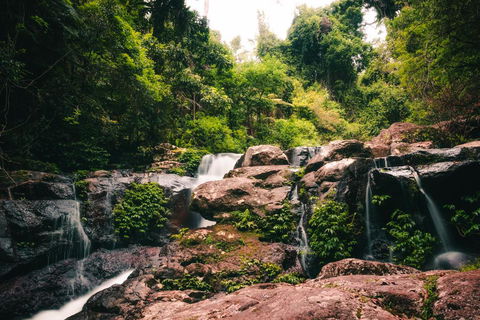 Binna Burra Rainforest Campsite - Kalgoorlie Accommodation 3