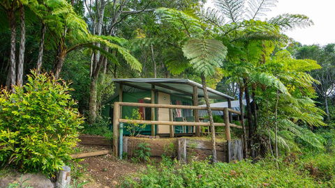 Binna Burra Rainforest Campsite - Kalgoorlie Accommodation 0
