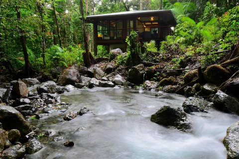 Black Palm Cape Tribulation - Kalgoorlie Accommodation 2