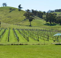 Blue House at Mountainside Wines - Kalgoorlie Accommodation