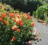 Boat Harbour Garden Cottages - Kalgoorlie Accommodation