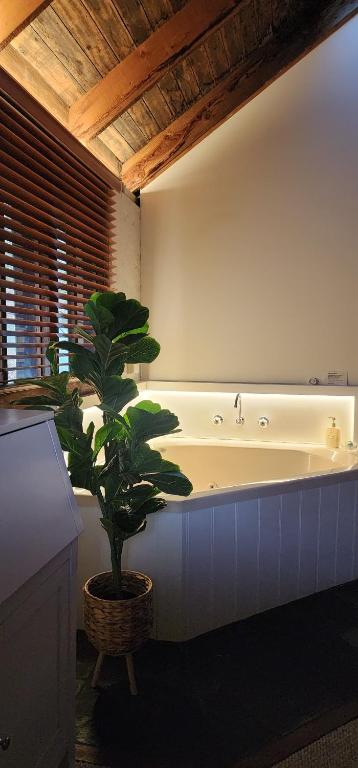 Daylesford - FROG HOLLOW ESTATE - One Bedroom Retreat Villa - Book For 3 Nights Pay For 2 - Contact Us For More Details - Kalgoorlie Accommodation 3