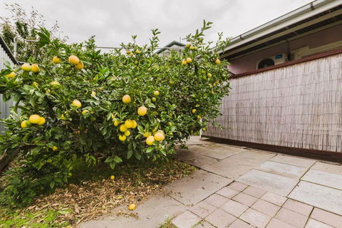 Yarraville Garden Large Home With Yard And Parking - Kalgoorlie Accommodation 3