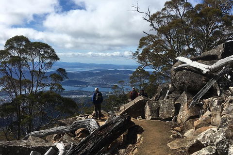 Kunanyi / Mt Wellington Explorer Bus - 2 Hour Return Tour - Kalgoorlie Accommodation 0