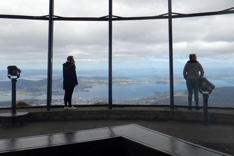 Kunanyi / Mt Wellington Explorer Bus - 2 Hour Return Tour - Kalgoorlie Accommodation 1