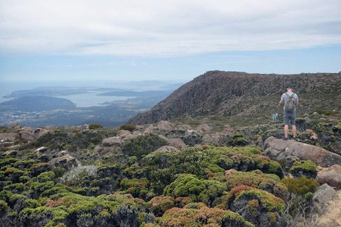 Kunanyi / Mt Wellington Explorer Bus - 2 Hour Return Tour - Kalgoorlie Accommodation 3