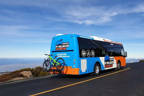 Kunanyi / Mt Wellington Explorer Bus - 2 Hour Return Tour - Kalgoorlie Accommodation 4