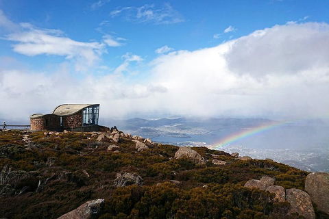 Kunanyi / Mt Wellington Explorer Bus - 2 Hour Return Tour - Kalgoorlie Accommodation 5
