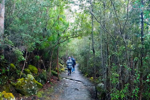 Kunanyi/Mt Wellington Tour & Hobart Hop-On Hop-Off Bus - Kalgoorlie Accommodation 1