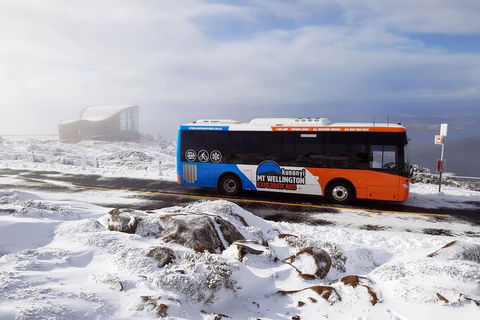 Kunanyi/Mt Wellington Tour & Hobart Hop-On Hop-Off Bus - Kalgoorlie Accommodation 2