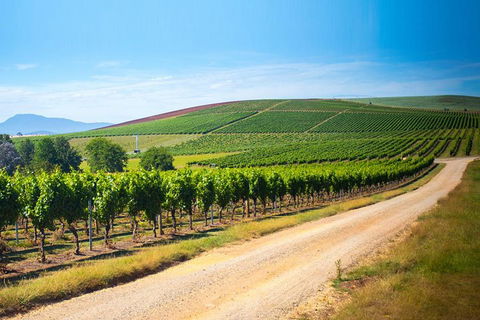 Full Day Tamar Valley Wine Tour - Kalgoorlie Accommodation 1