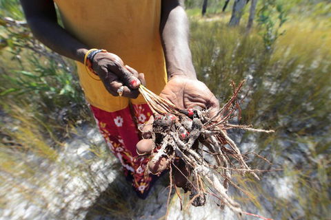 Gay-Wu Woman's 5 Day Yolngu Homeland Tour - Kalgoorlie Accommodation 0