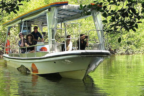 3-Day Best Of Cairns Combo: The Daintree Rainforest, Great Barrier Reef, And Kuranda - Kalgoorlie Accommodation 4