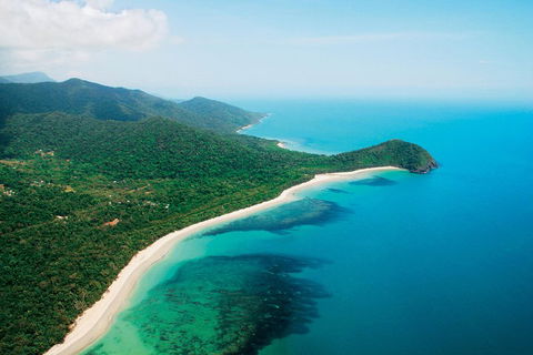 Cape Tribulation, Mossman Gorge, And Daintree Rainforest Premium Day Tour - Kalgoorlie Accommodation 2