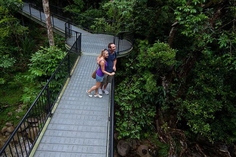 Cape Tribulation, Mossman Gorge, And Daintree Rainforest Premium Day Tour - Kalgoorlie Accommodation 3